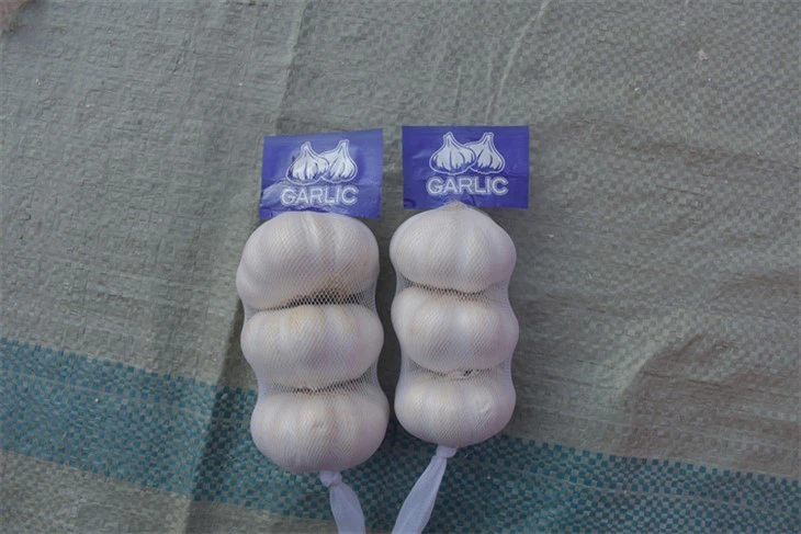 שום טרי טרי