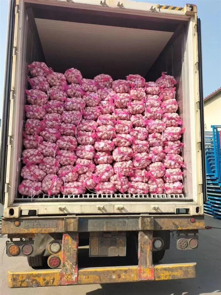 מערבב נחמד שום